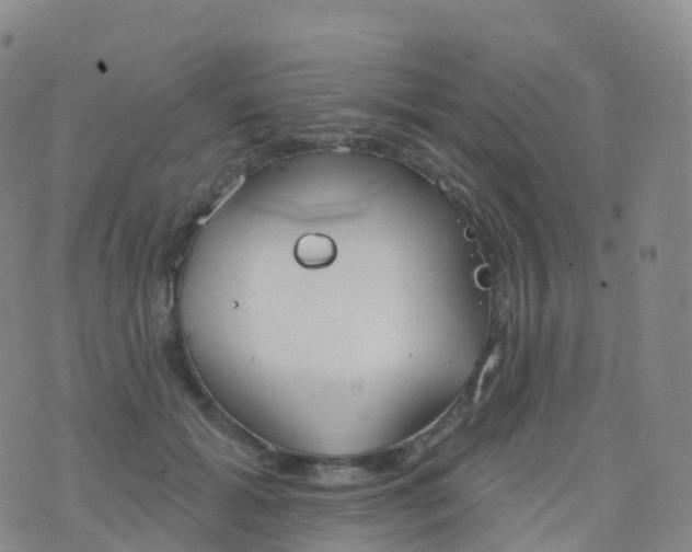 X0000076420605200610202222