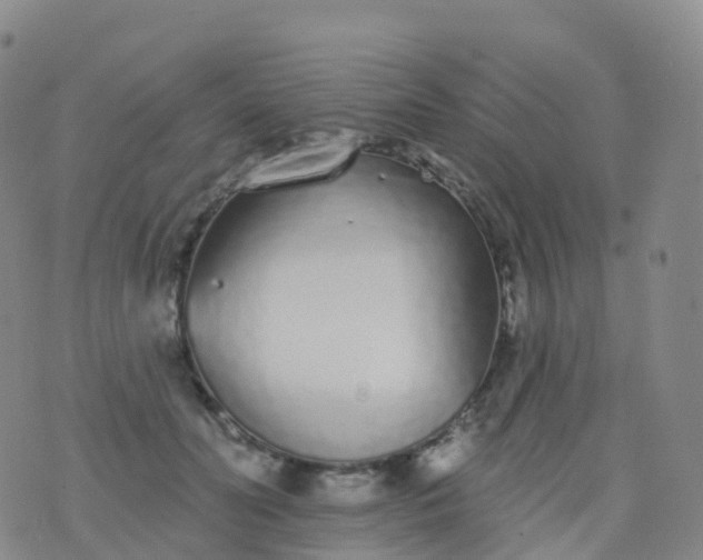 X0000076420606200610202222