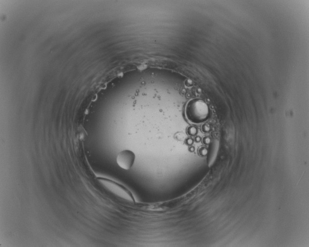 X0000076420607200610202222