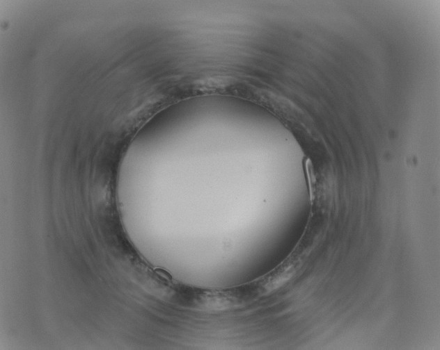 X0000076420608200610202222