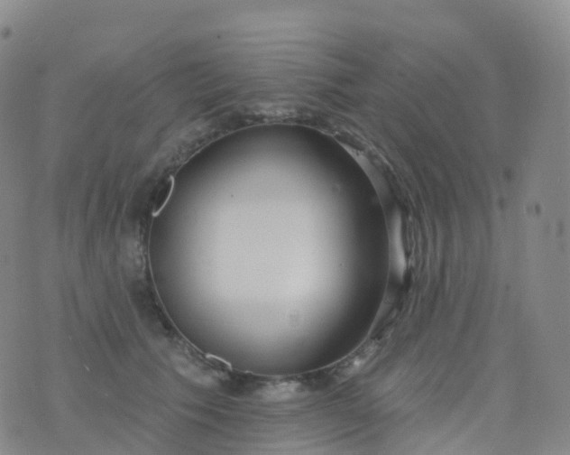 X0000076420609200610202222