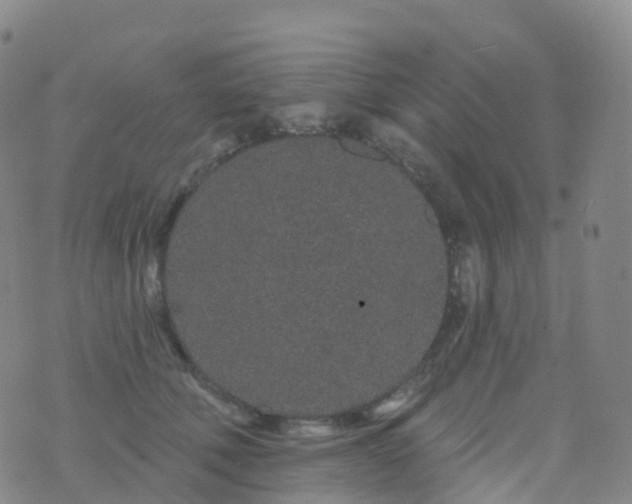 X0000076420610200610202222