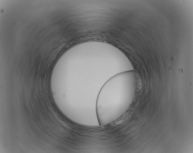 X0000076420611200610202222