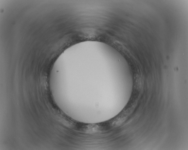 X0000076420612200610202222