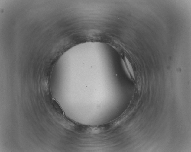 X0000076420613200610202222