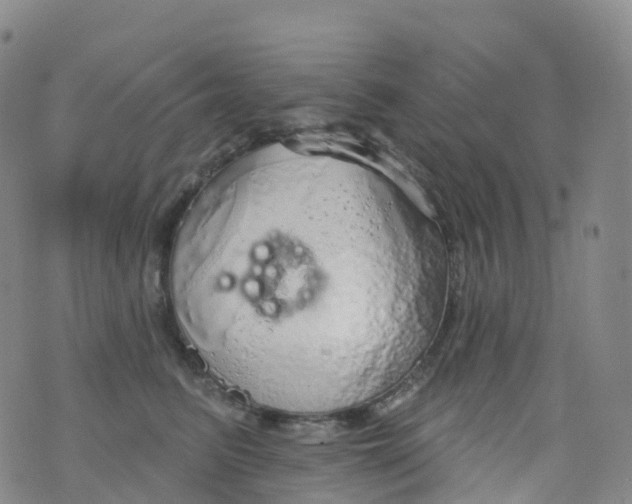 X0000076420615200610202221