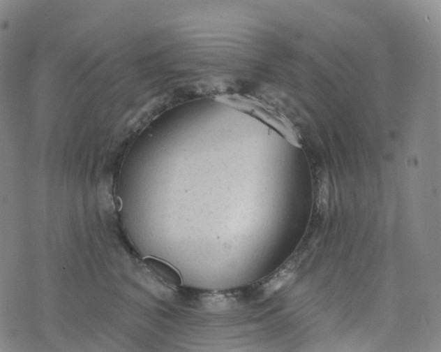 X0000076420616200610202221