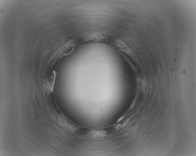 X0000076420617200610202221