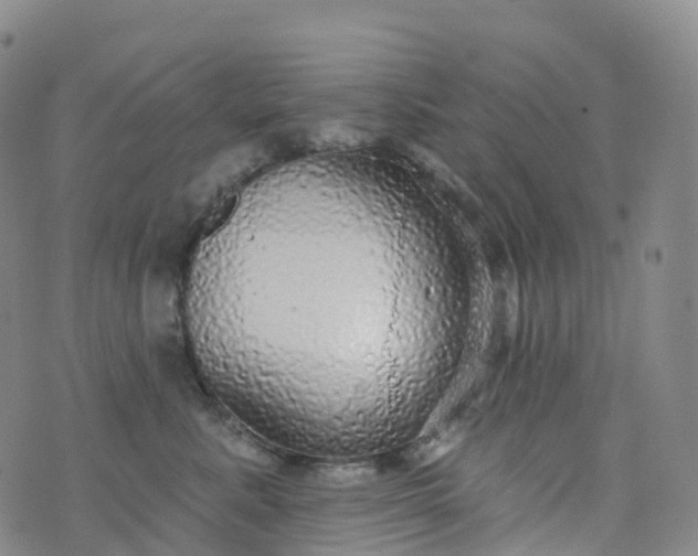 X0000076420619200610202221