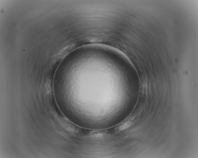 X0000076420620200610202221