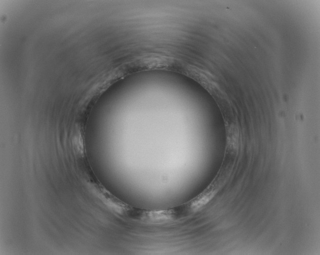 X0000076420622200610202221