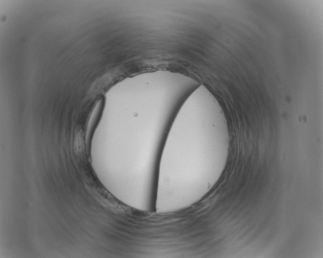 X0000076420623200610202221