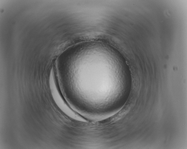 X0000076420624200610202221