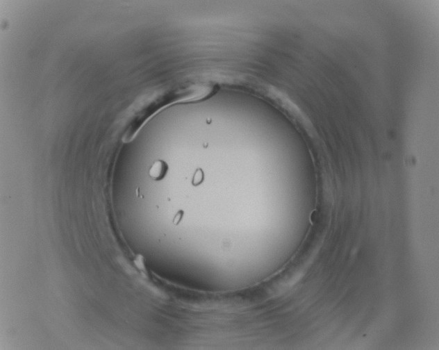 X0000076420625200610202221