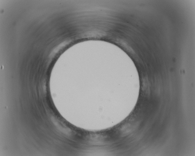 X0000076420632200610202221