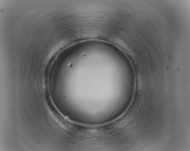 X0000076420634200610202221