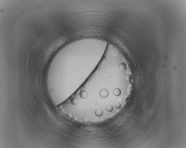 X0000076420635200610202221