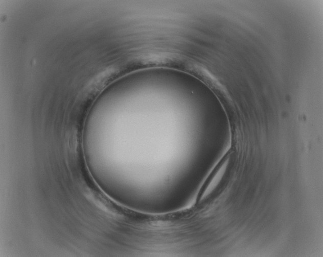 X0000076420637200610202221