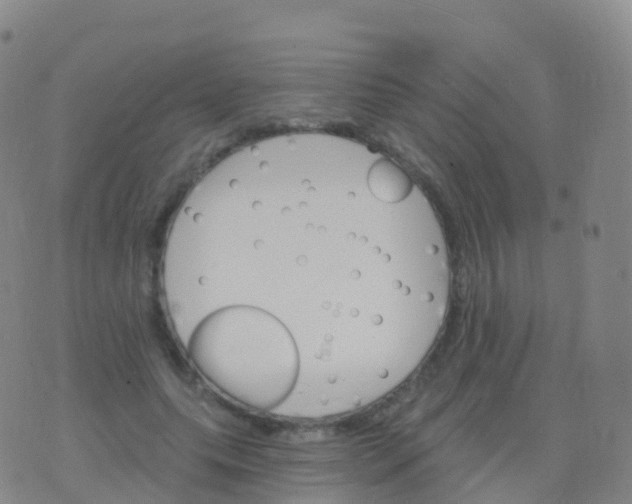 X0000076420639200610202221