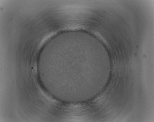 X0000076420640200610202221