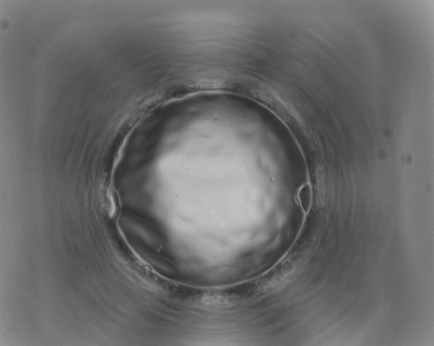 X0000076420641200610202221