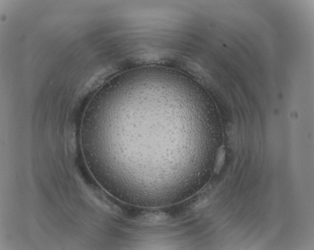 X0000076420642200610202221