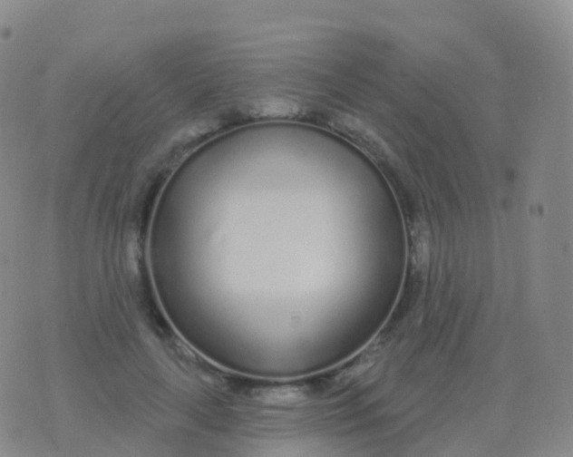 X0000076420643200610202221