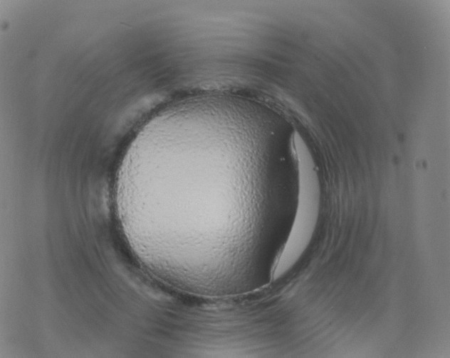 X0000076420644200610202221