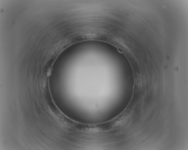 X0000076420645200610202221