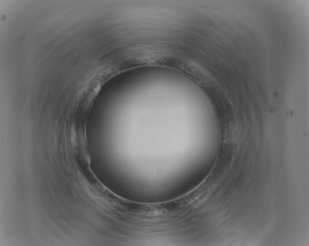 X0000076420646200610202221