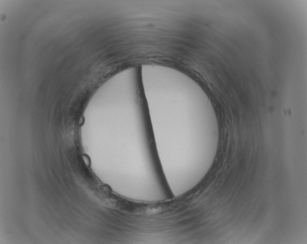 X0000076420647200610202221