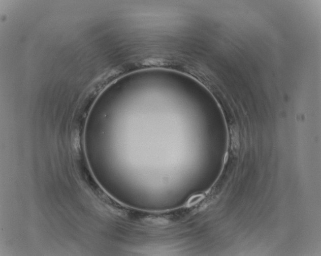 X0000076420648200610202221