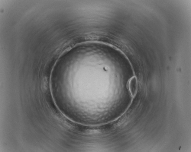 X0000076420649200610202221