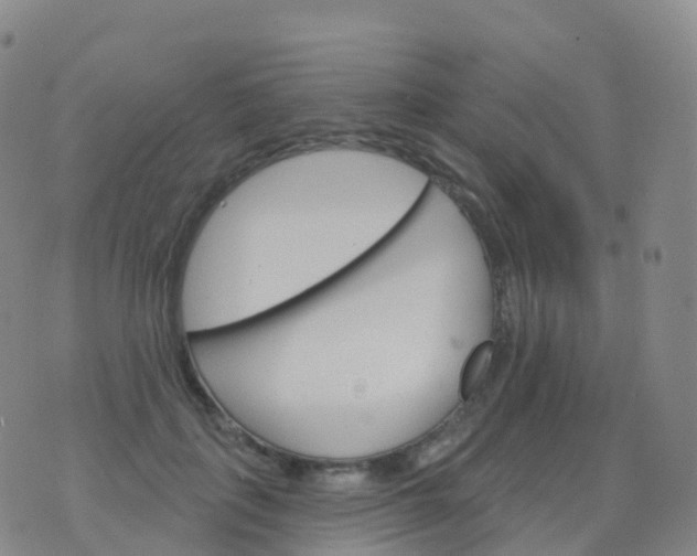 X0000076420651200610202221