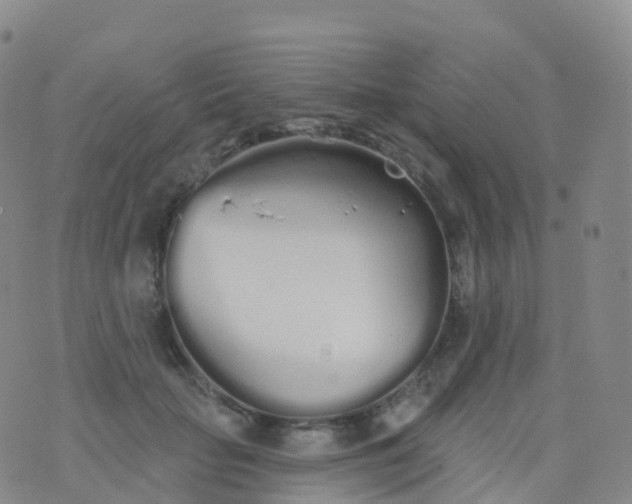 X0000076420653200610202221