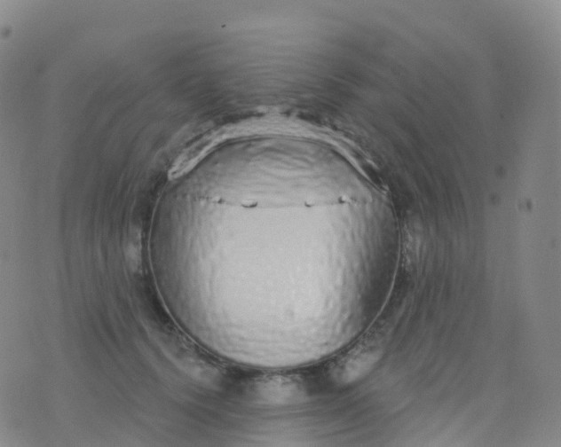 X0000076420656200610202221