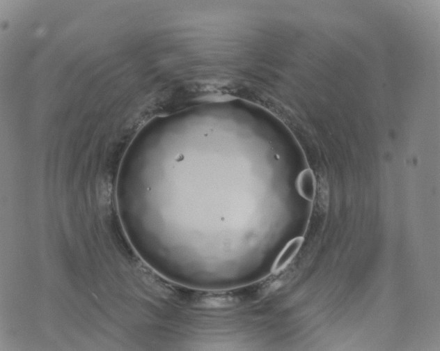 X0000076420657200610202221