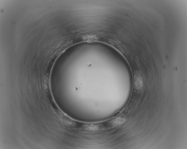 X0000076420658200610202221