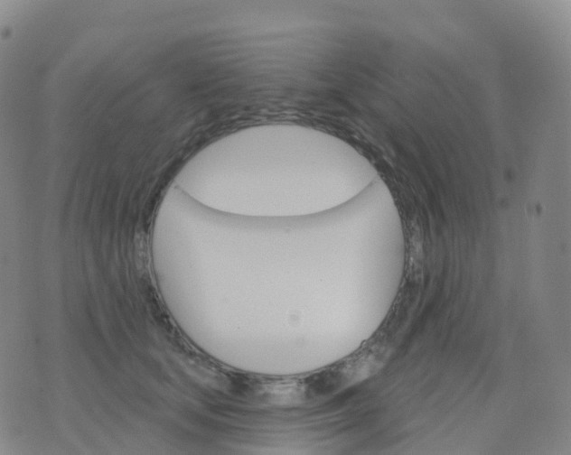 X0000076420659200610202221