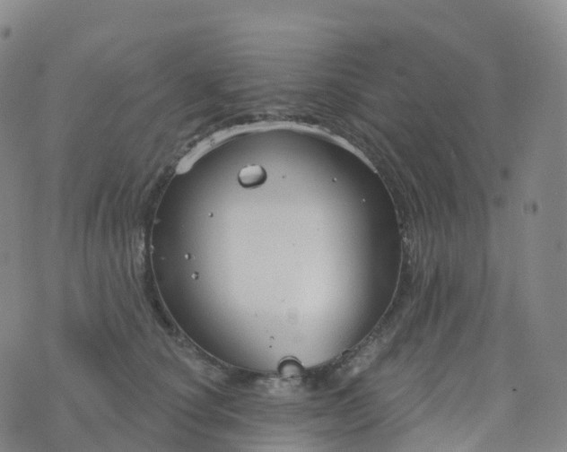 X0000076420660200610202221