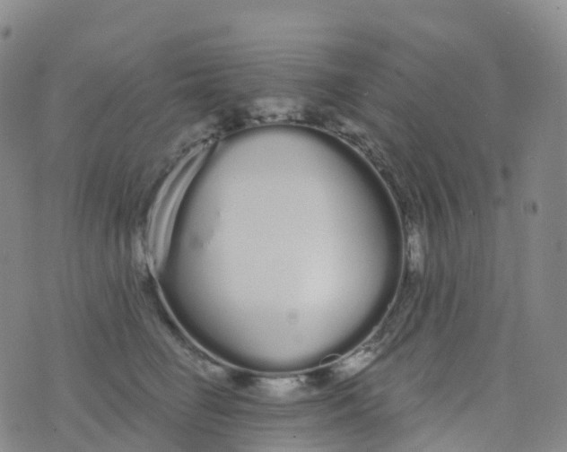 X0000076420662200610202221