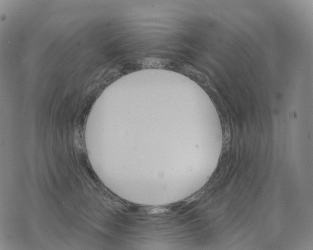 X0000076420663200610202221