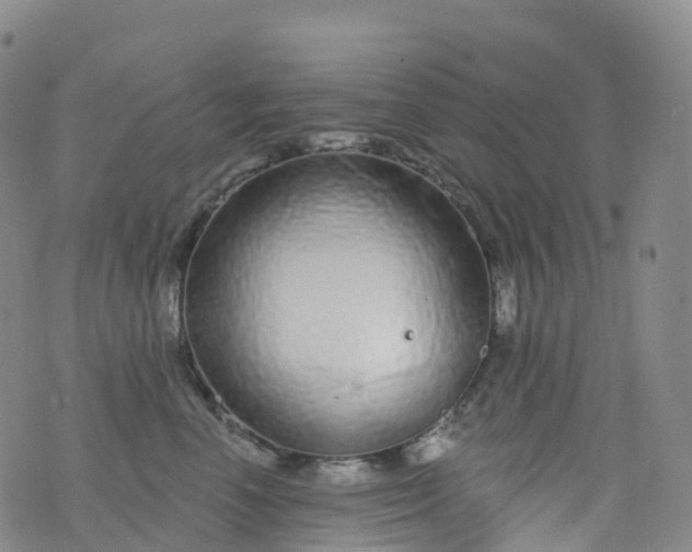 X0000076420666200610202221