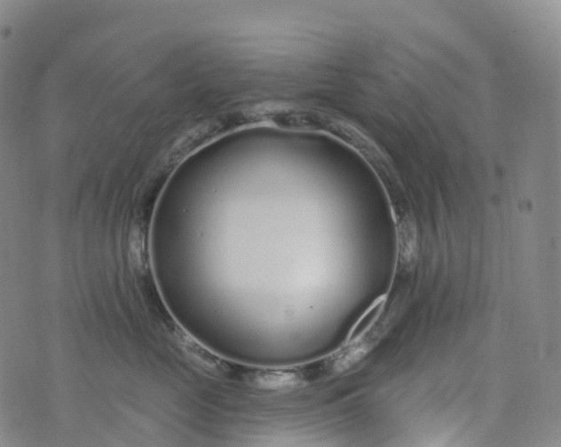 X0000076420669200610202221