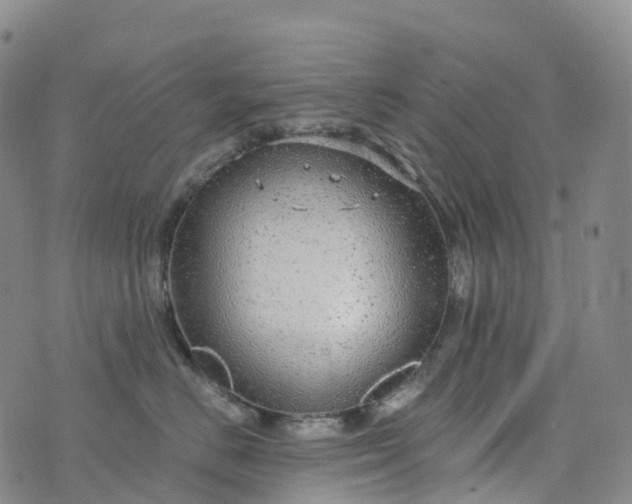 X0000076420670200610202221