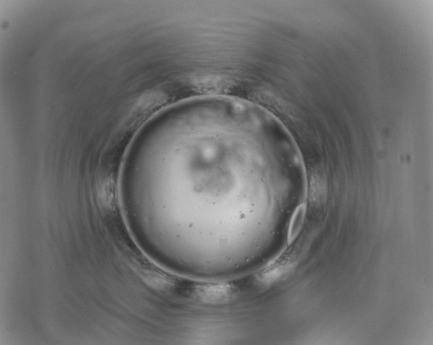 X0000076420671200610202221