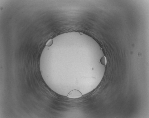 X0000076420672200610202221