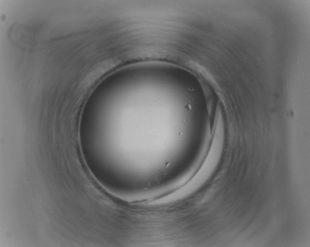 X0000076420673200610202221