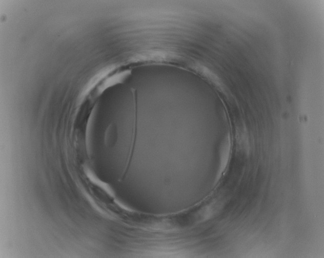 X0000076420674200610202221