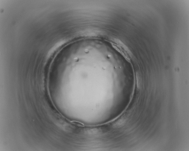 X0000076420675200610202221